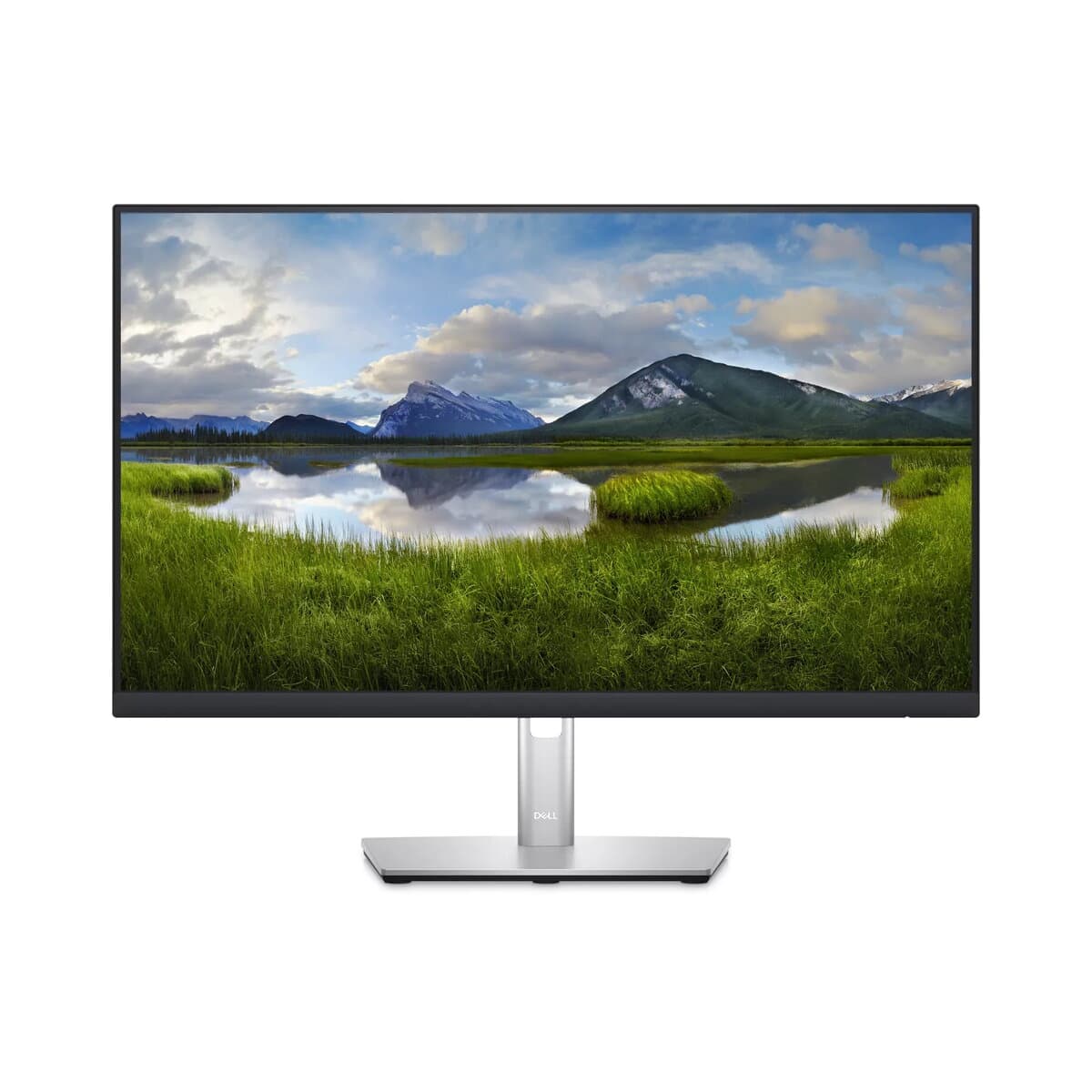 DELL P2423D 23.8" QHD