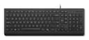 Lenovo Essential Wired Keyboard US Euro (Copilot key)